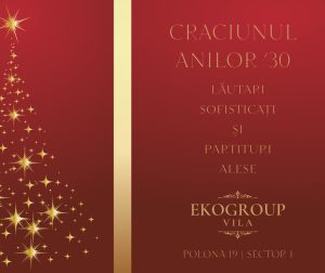 Descoperă Eleganța Crăciunului Anilor ’30 la Eko Group Vila